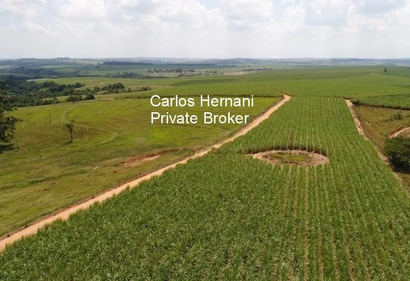 Fazenda à venda de 440 ha em Porto Feliz, SP, Brasil