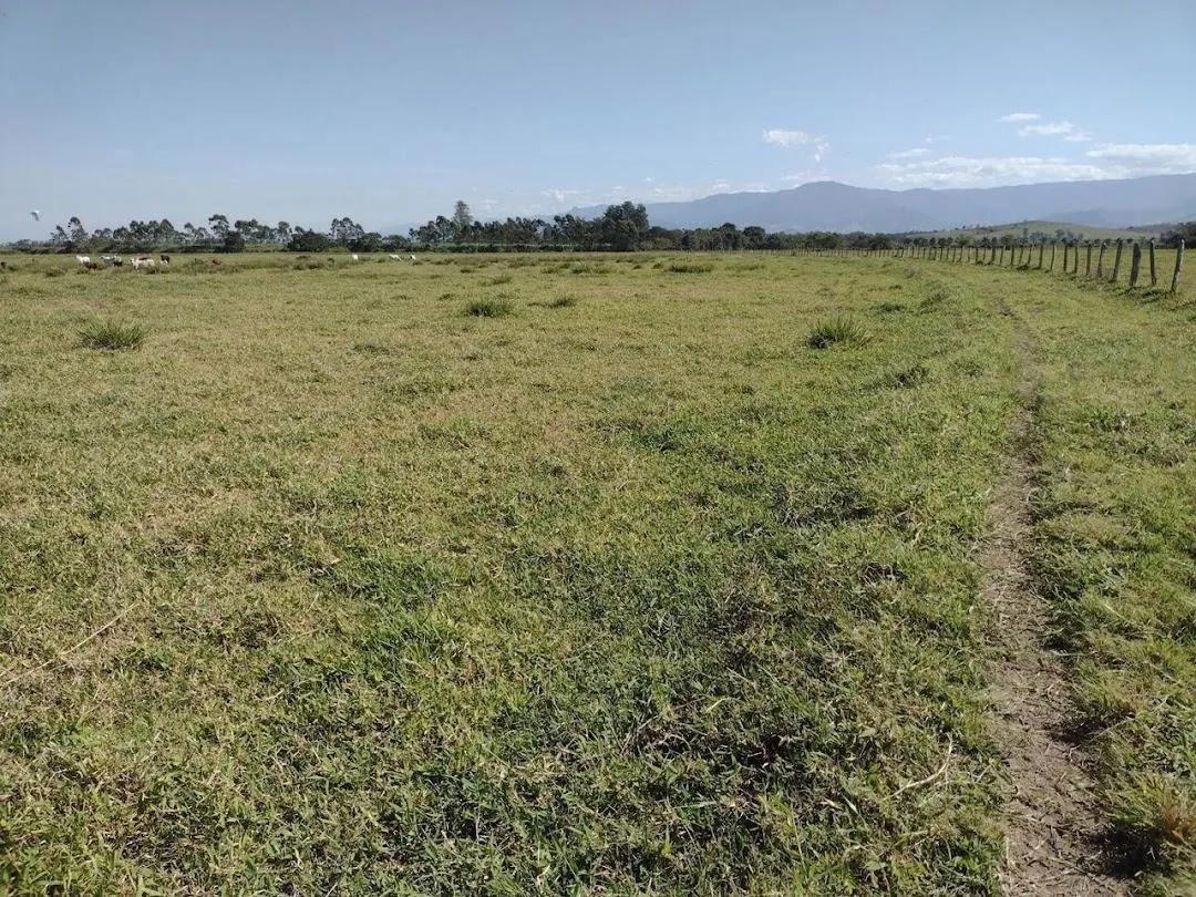 Fazenda à venda de 120 ha em Guaratinguetá, SP, Brasil