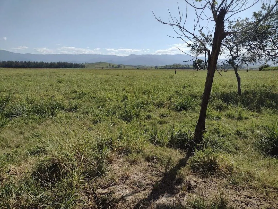 Fazenda à venda de 120 ha em Guaratinguetá, SP, Brasil