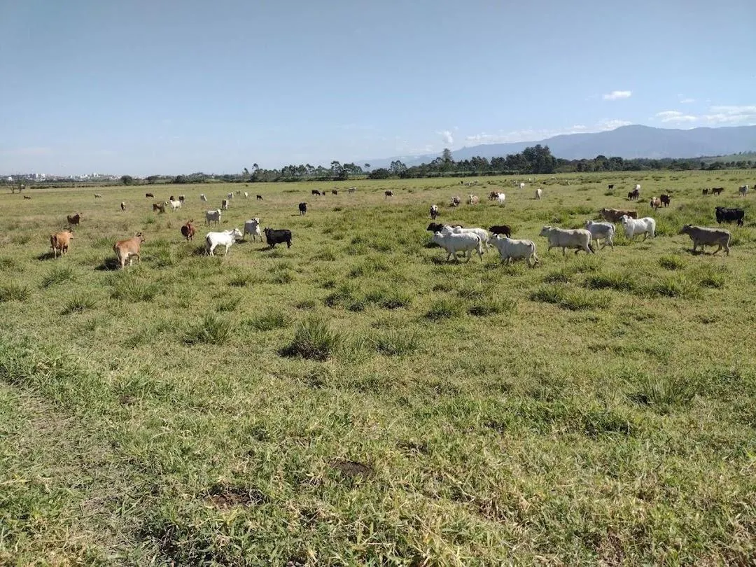 Fazenda à venda de 120 ha em Guaratinguetá, SP, Brasil