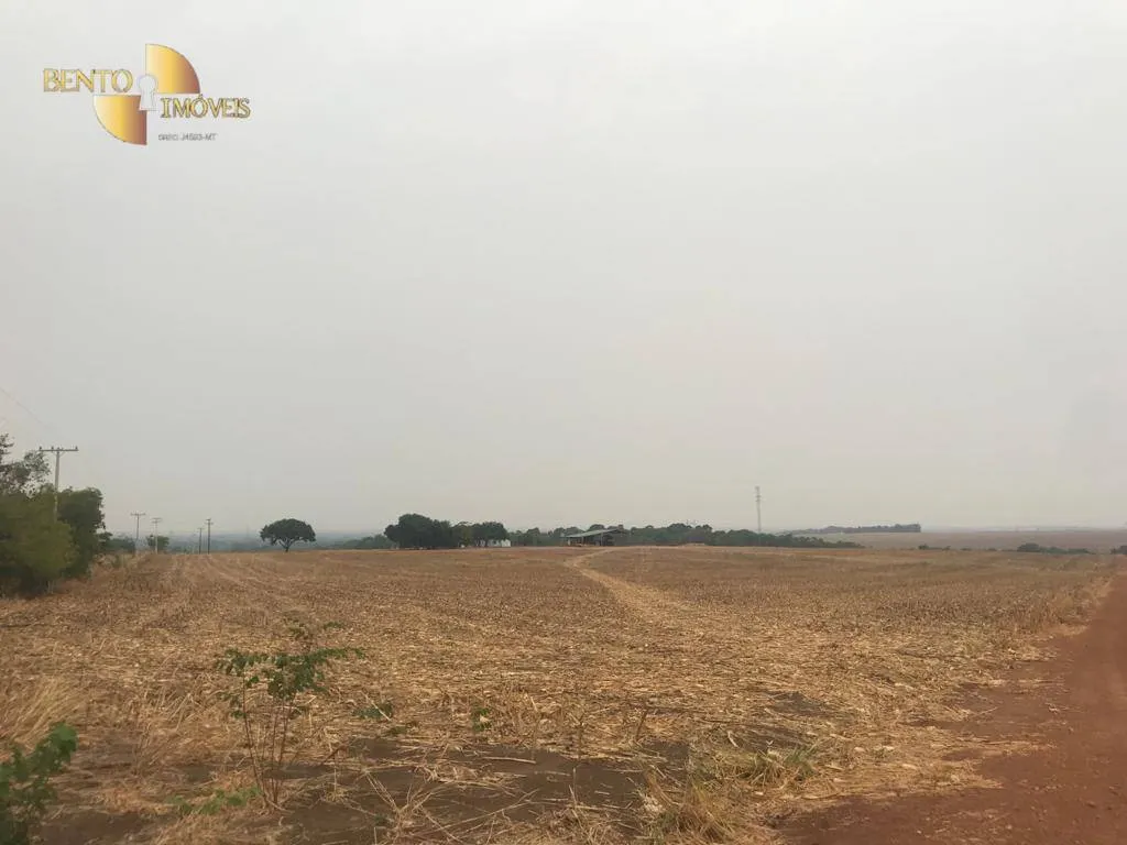 Fazenda à venda de 919 ha em Sorriso, MT, Brasil