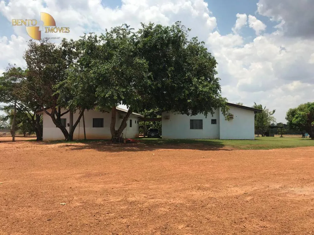 Fazenda à venda de 919 ha em Sorriso, MT, Brasil