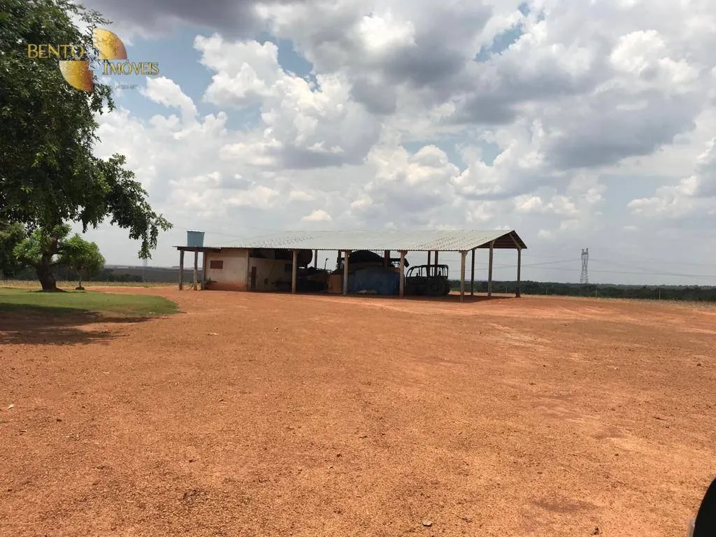 Fazenda à venda de 919 ha em Sorriso, MT, Brasil