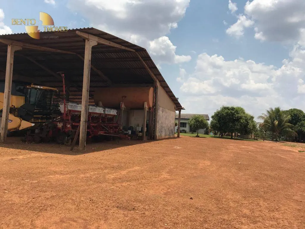Fazenda à venda de 919 ha em Sorriso, MT, Brasil