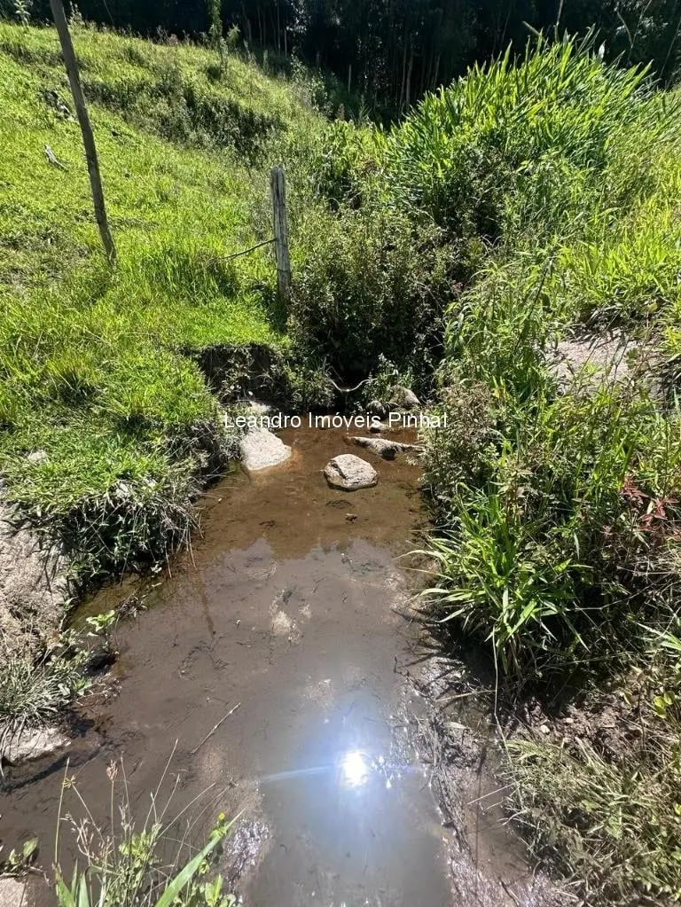 Sítio à venda de 4 ha em Santo Antônio do Pinhal, SP, Brasil