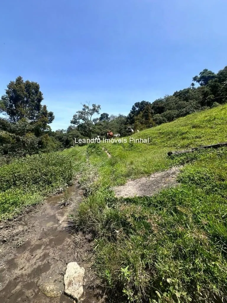 Sítio à venda de 4 ha em Santo Antônio do Pinhal, SP, Brasil