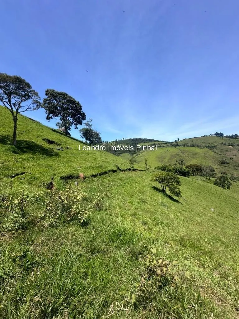 Sítio à venda de 4 ha em Santo Antônio do Pinhal, SP, Brasil