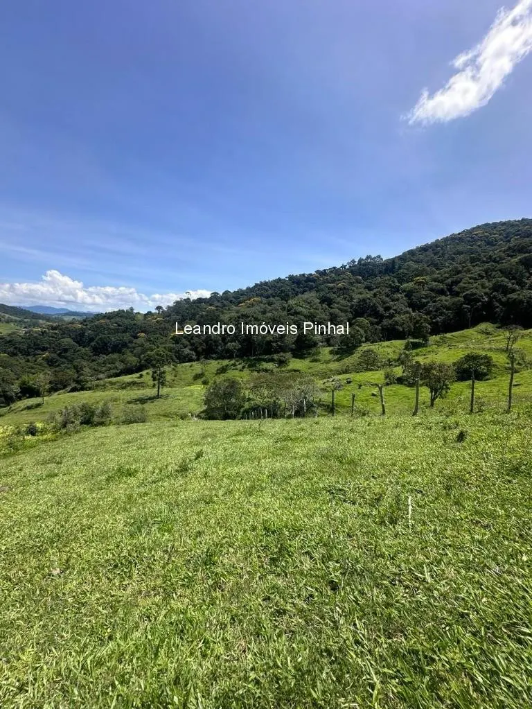 Sítio à venda de 4 ha em Santo Antônio do Pinhal, SP, Brasil