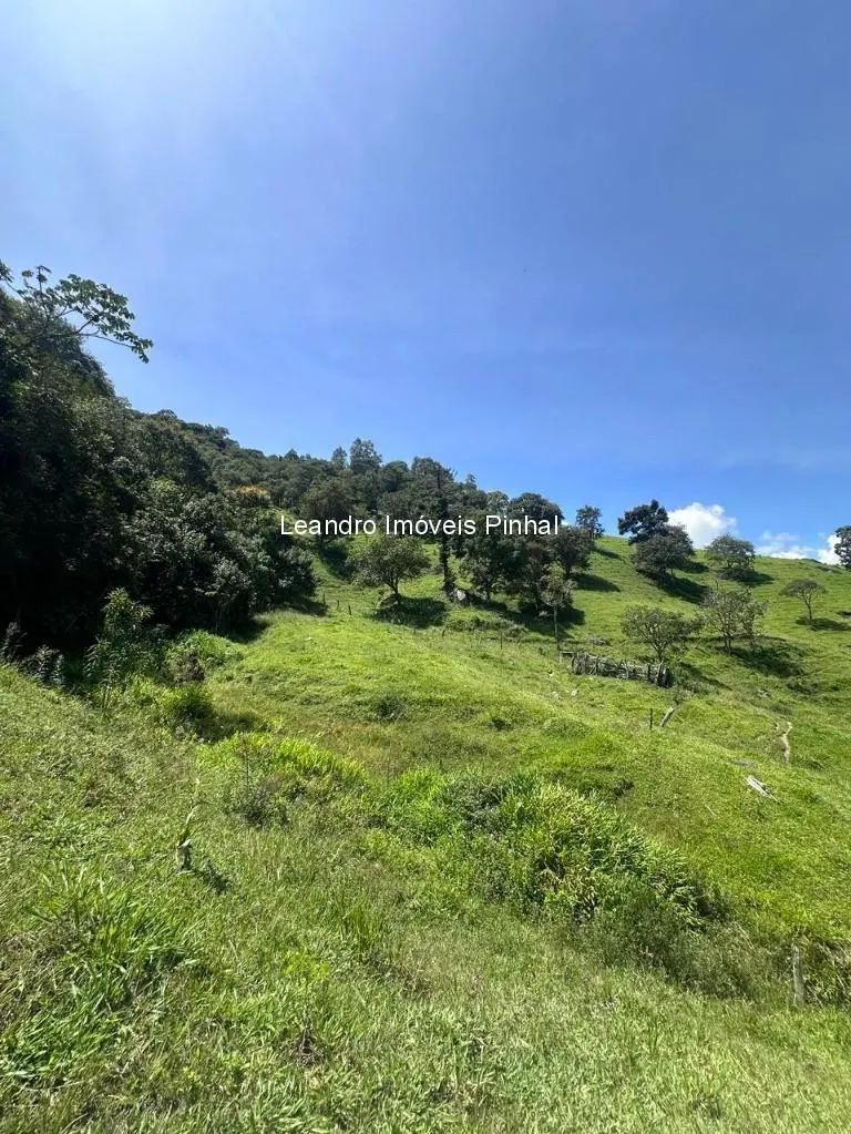 Sítio à venda de 4 ha em Santo Antônio do Pinhal, SP, Brasil
