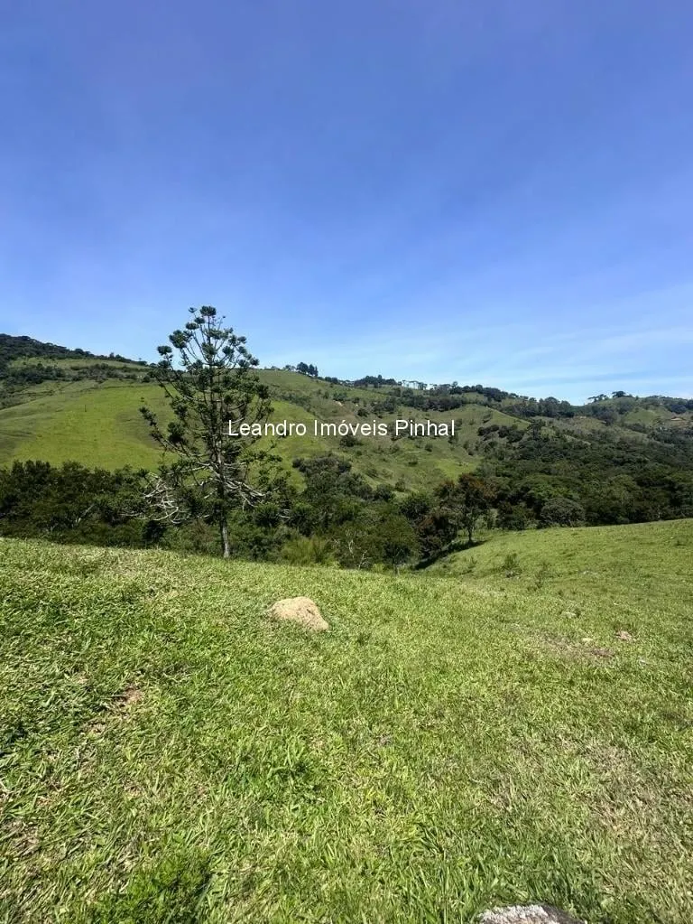 Sítio à venda de 4 ha em Santo Antônio do Pinhal, SP, Brasil