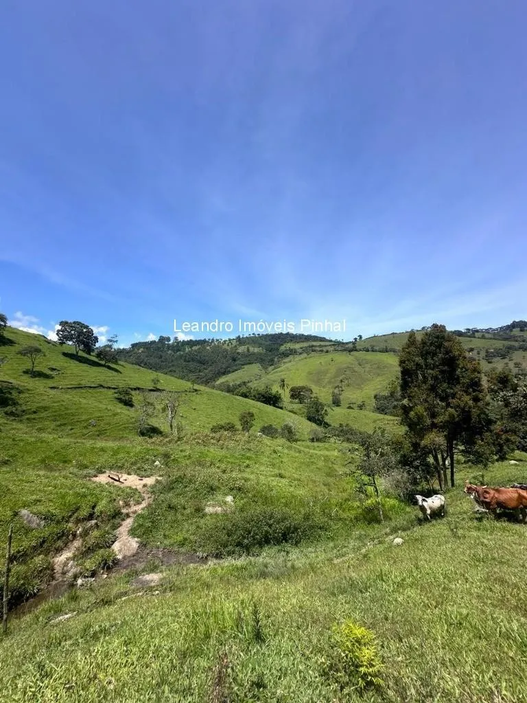 Sítio à venda de 4 ha em Santo Antônio do Pinhal, SP, Brasil