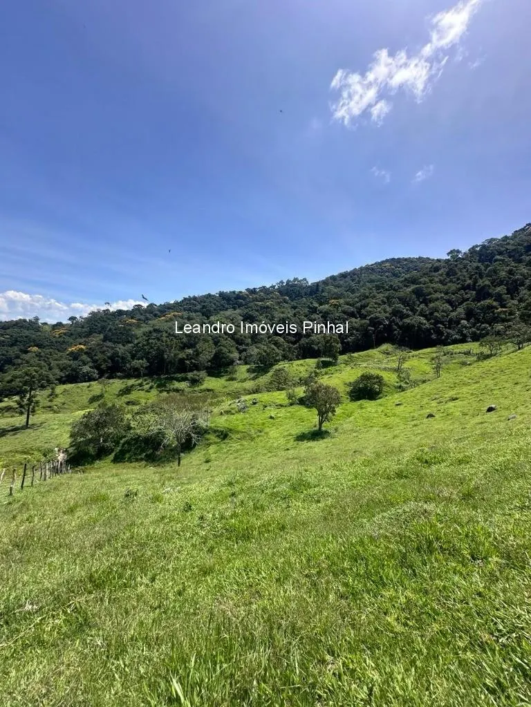 Sítio à venda de 4 ha em Santo Antônio do Pinhal, SP, Brasil