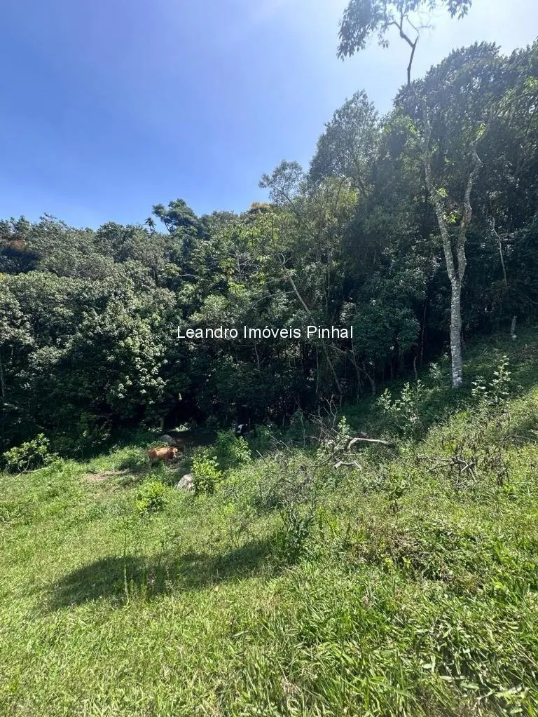 Sítio à venda de 4 ha em Santo Antônio do Pinhal, SP, Brasil