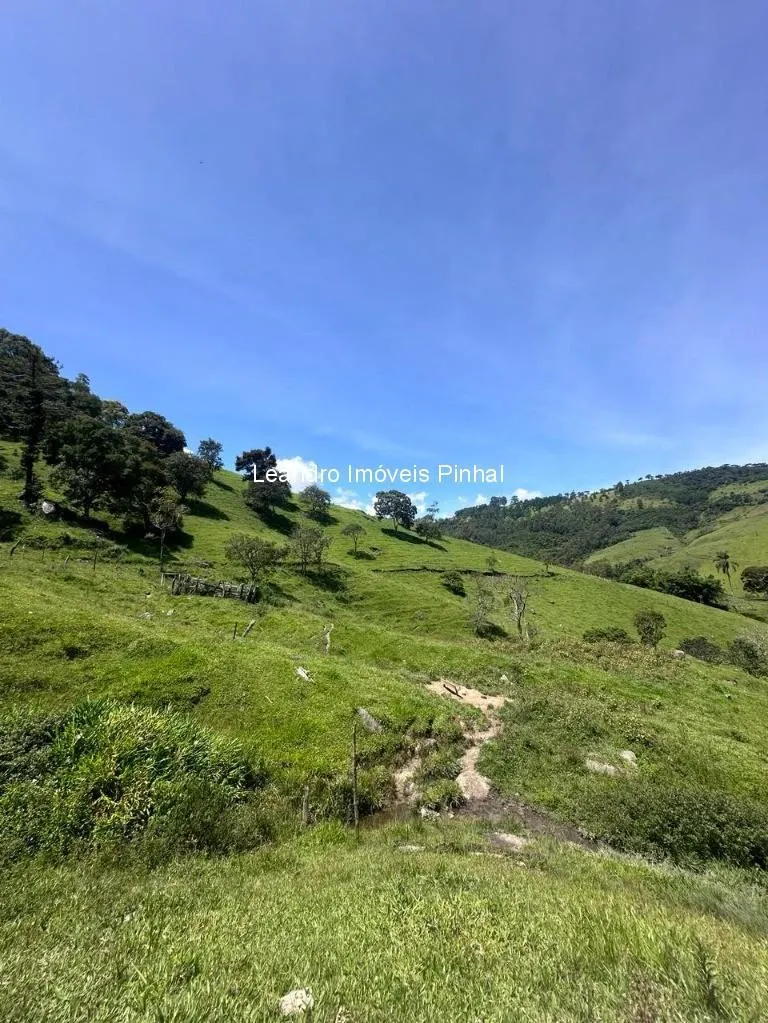 Sítio à venda de 4 ha em Santo Antônio do Pinhal, SP, Brasil