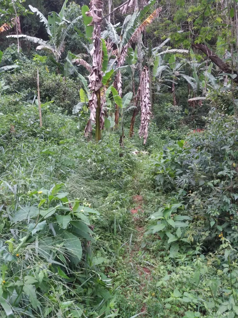 Chácara à venda de 5.000 m² em Monteiro Lobato, SP, Brasil
