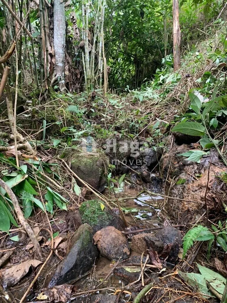 Country home for sale of 3 acres in Luiz Alves, SC, Brazil
