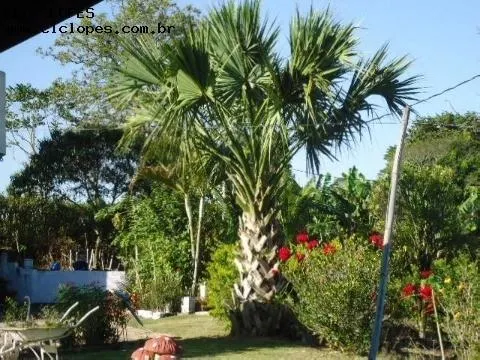 Country home for sale of 5 acres in Elias Fausto, SP, Brazil