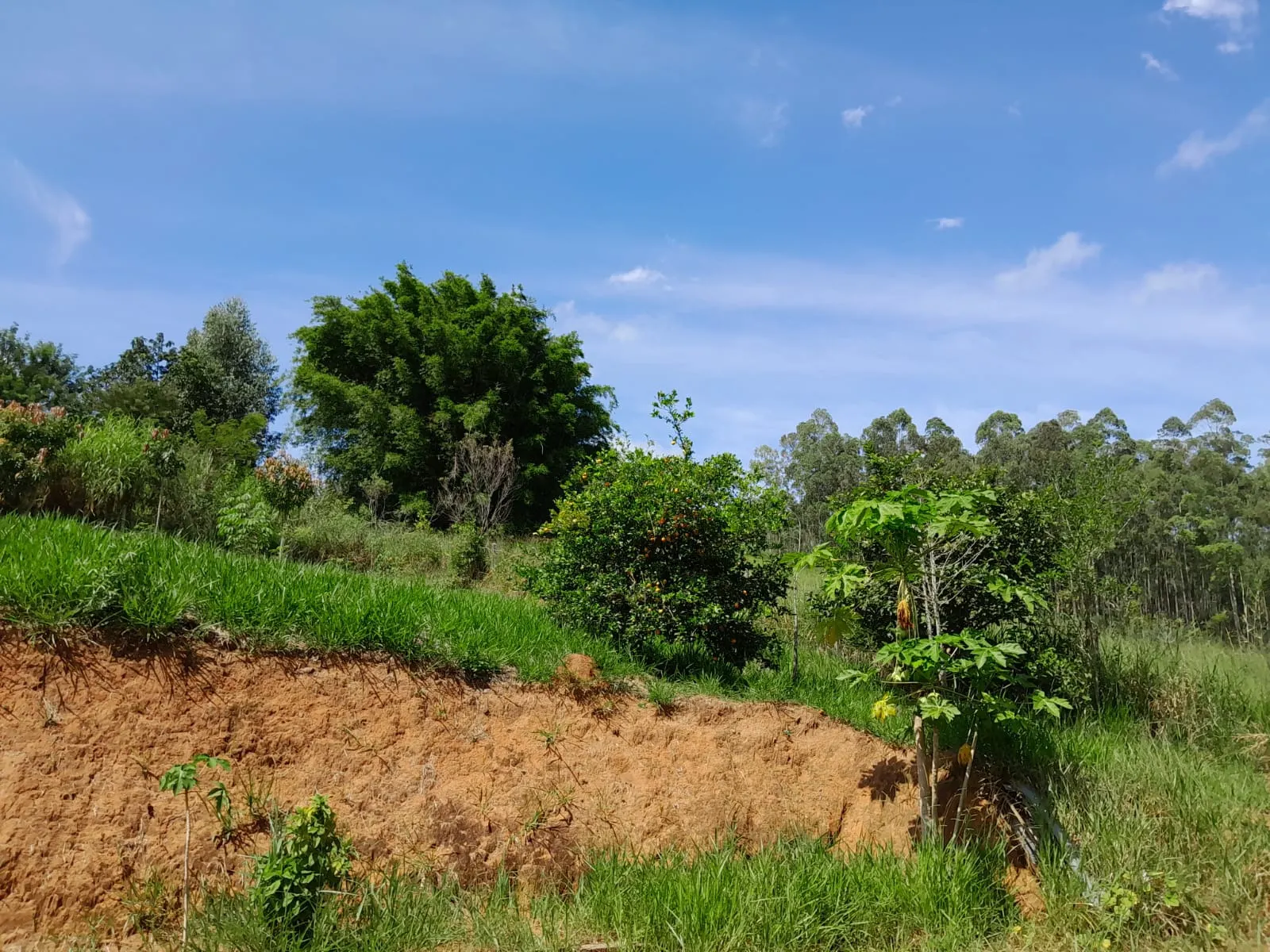 Chácara à venda de 1 ha em Paraibuna, SP, Brasil