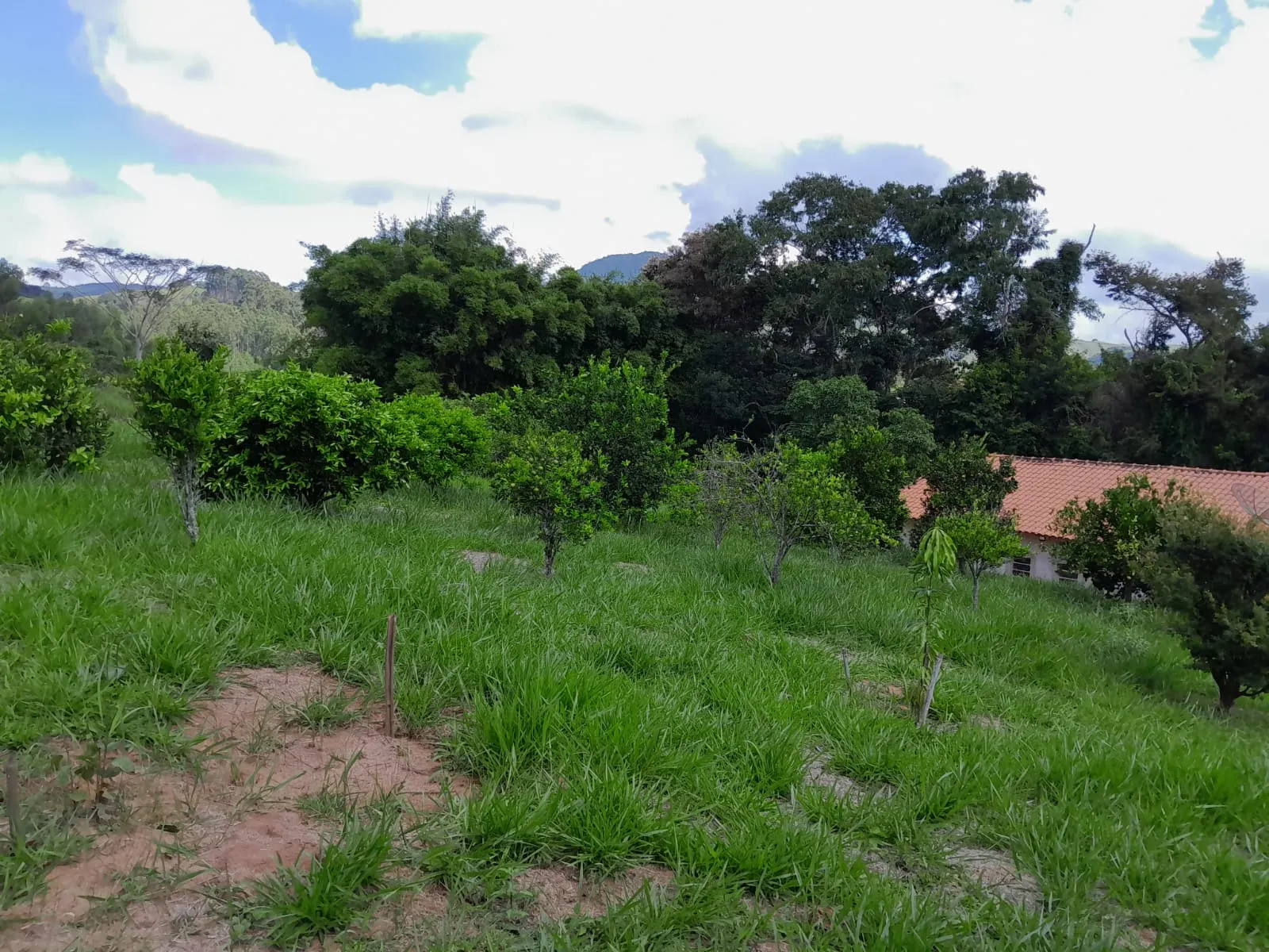 Chácara à venda de 1 ha em Paraibuna, SP, Brasil