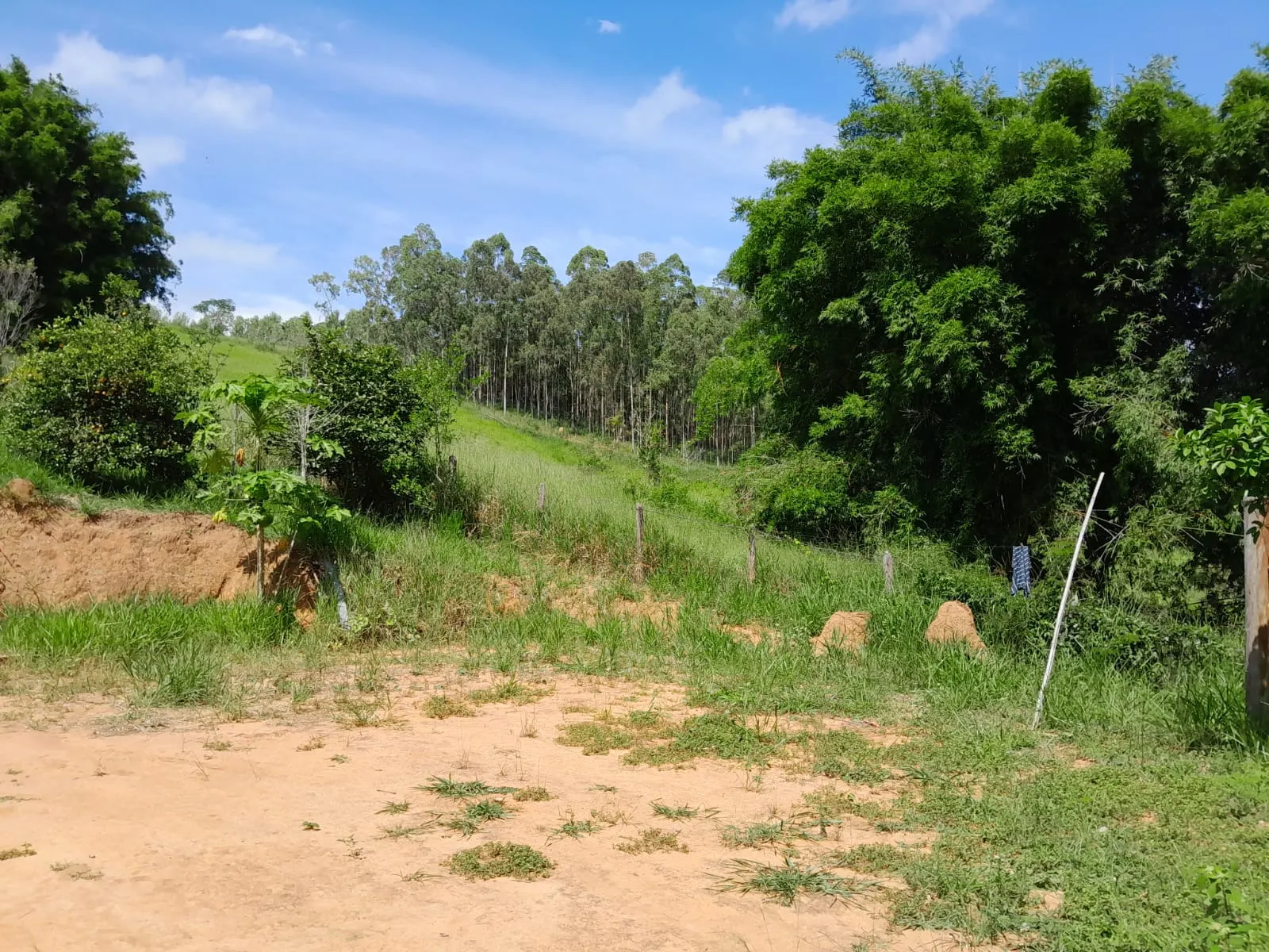 Chácara à venda de 1 ha em Paraibuna, SP, Brasil
