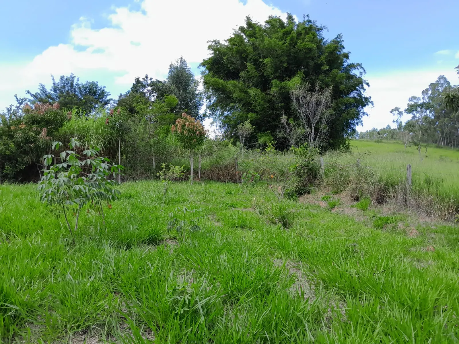 Chácara à venda de 1 ha em Paraibuna, SP, Brasil
