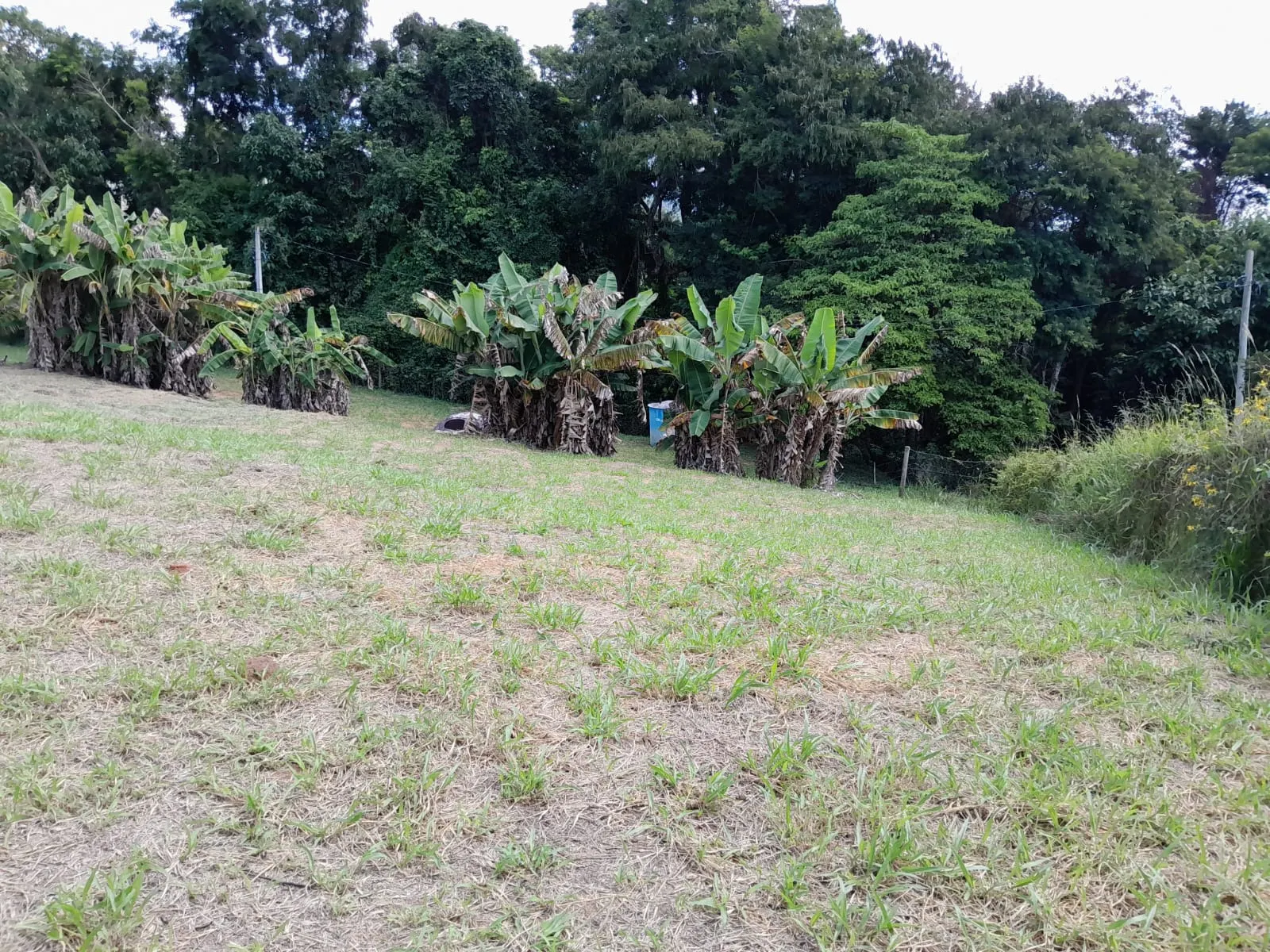 Chácara à venda de 1 ha em Paraibuna, SP, Brasil