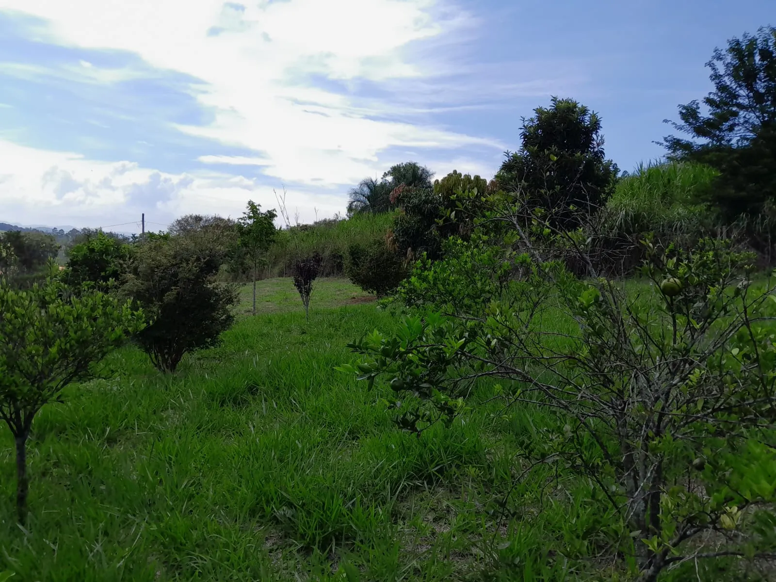 Chácara à venda de 1 ha em Paraibuna, SP, Brasil