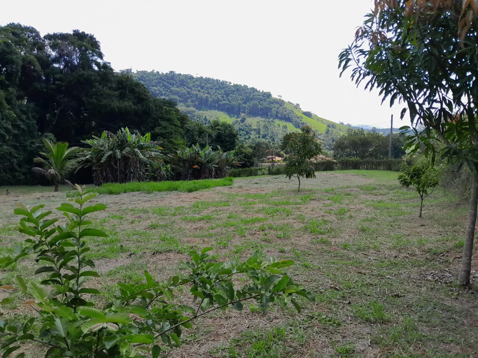 Chácara à venda de 1 ha em Paraibuna, SP, Brasil