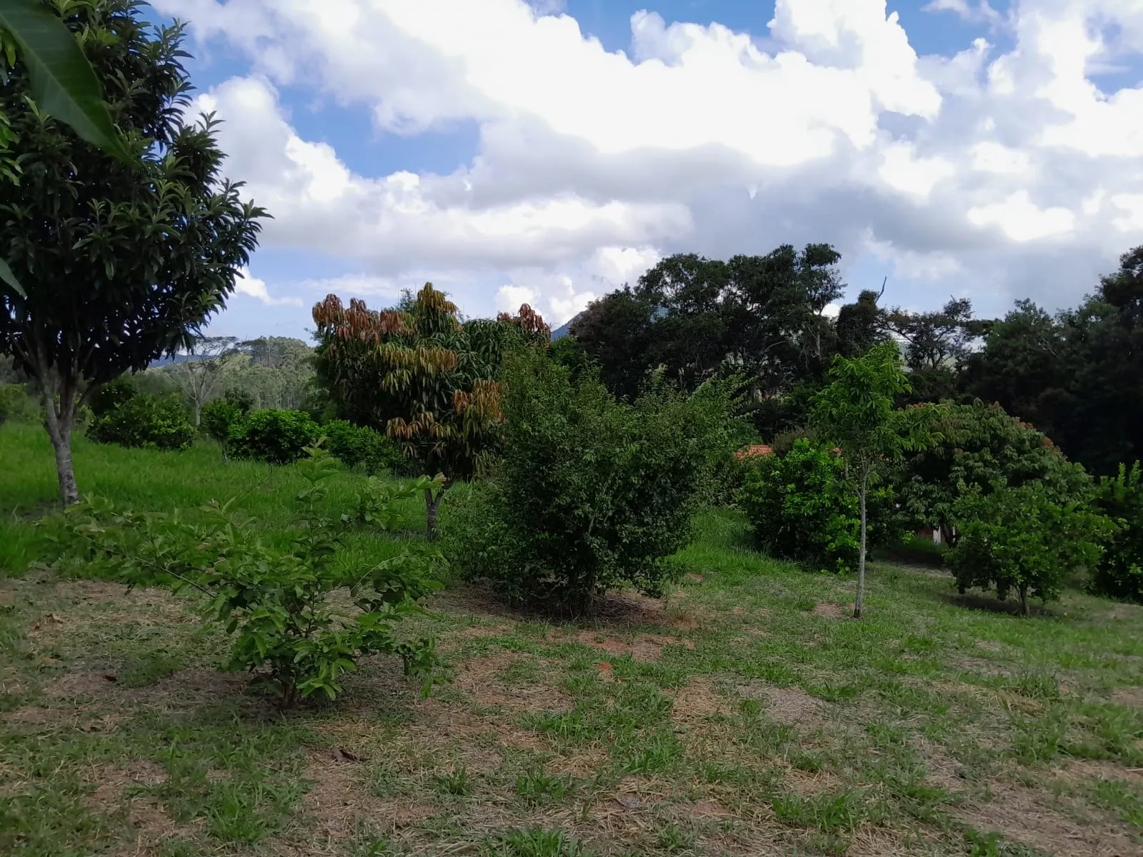 Chácara à venda de 1 ha em Paraibuna, SP, Brasil