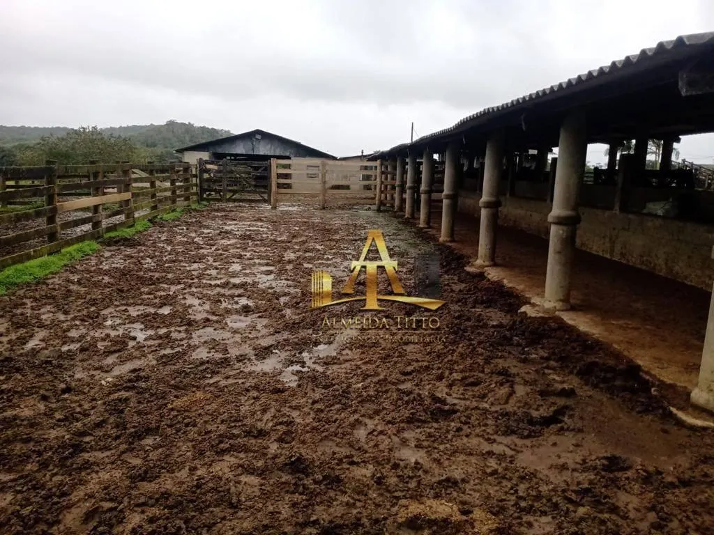 Fazenda à venda de 494 ha em Registro, SP, Brasil
