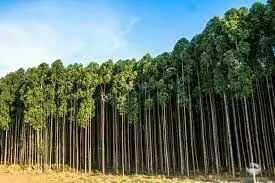 Small farm for sale of 44 acres in São José dos Campos, SP, Brazil