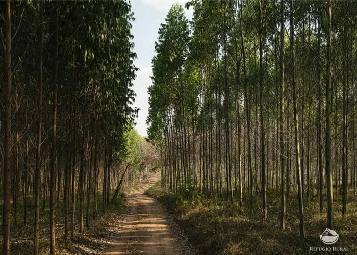 Small farm for sale of 44 acres in São José dos Campos, SP, Brazil