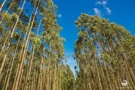 Small farm for sale of 44 acres in São José dos Campos, SP, Brazil