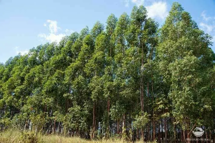Small farm for sale of 44 acres in São José dos Campos, SP, Brazil