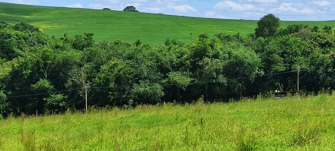Chácara à venda de 5 ha em Angatuba, SP, Brasil