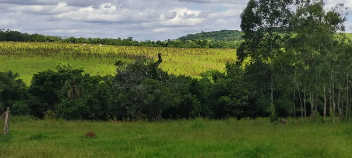 Chácara à venda de 5 ha em Angatuba, SP, Brasil