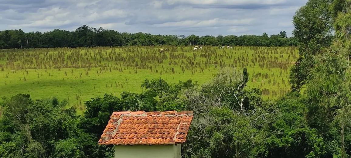 Chácara à venda de 5 ha em Angatuba, SP, Brasil