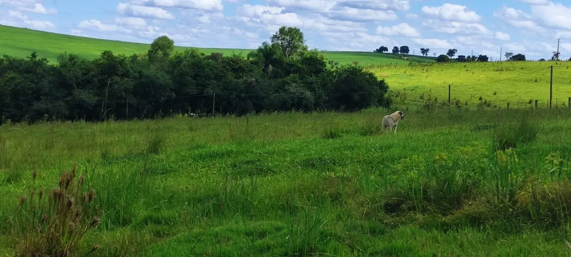 Chácara à venda de 5 ha em Angatuba, SP, Brasil