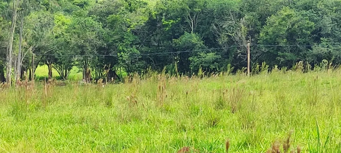 Chácara à venda de 5 ha em Angatuba, SP, Brasil