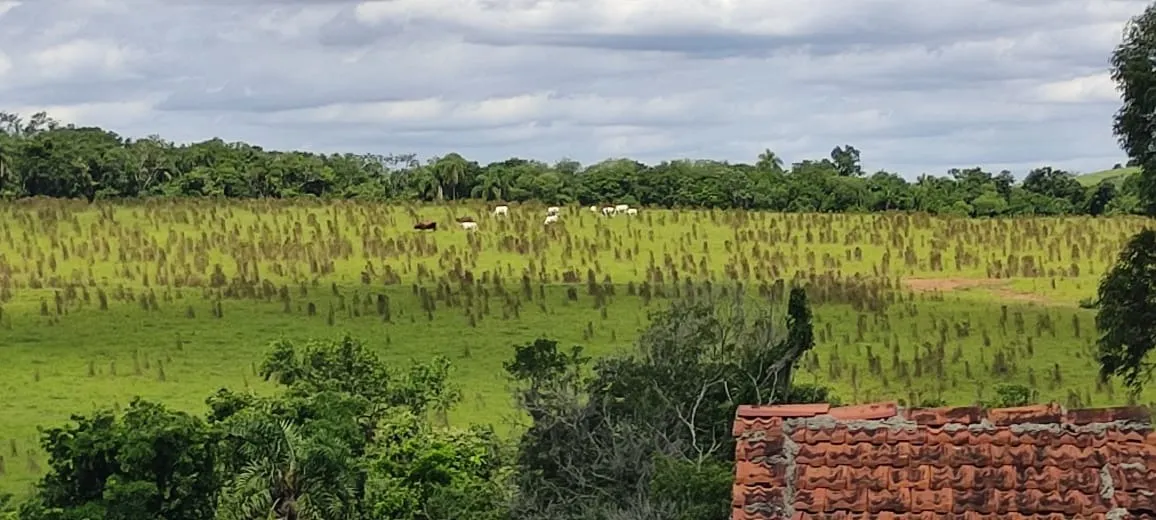 Chácara à venda de 5 ha em Angatuba, SP, Brasil
