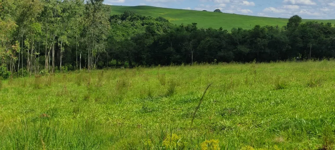 Chácara à venda de 5 ha em Angatuba, SP, Brasil