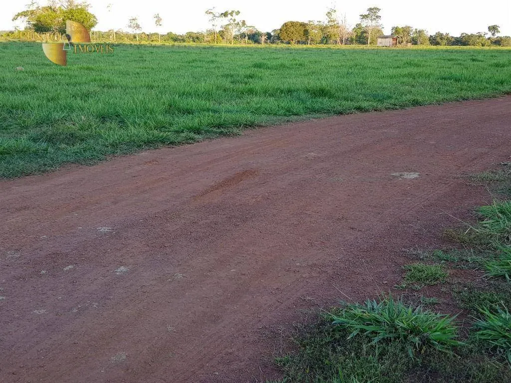 Farm for sale of 1,008 acres in Colíder, MT, Brazil