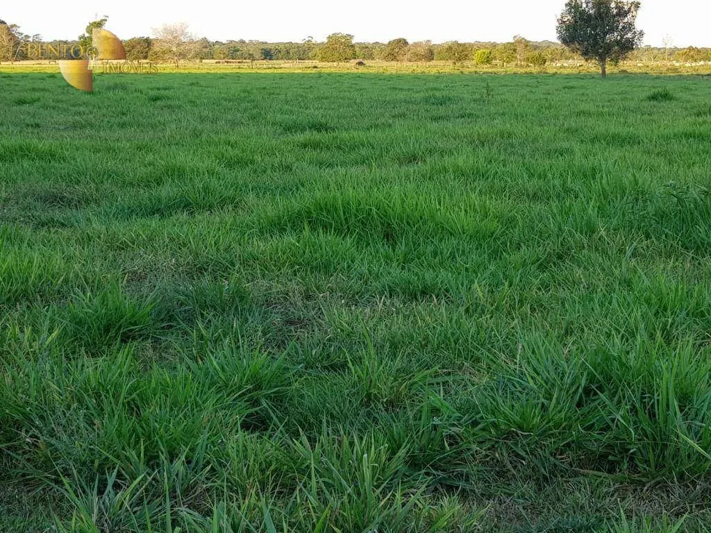 Farm for sale of 1,008 acres in Colíder, MT, Brazil