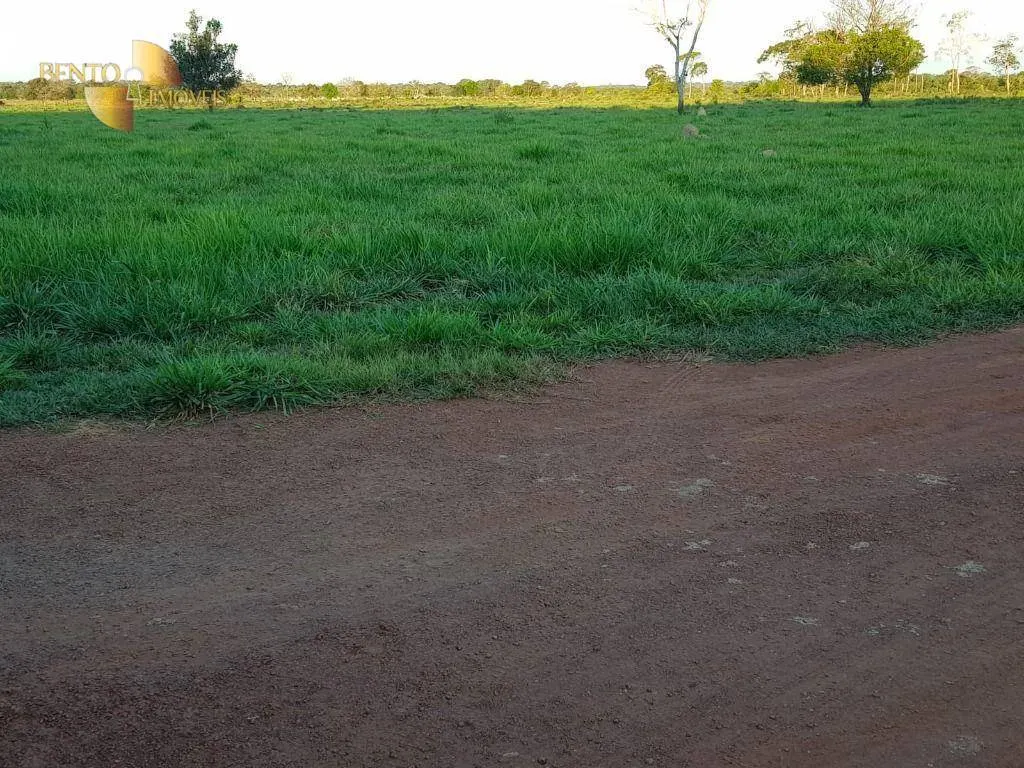 Farm for sale of 1,008 acres in Colíder, MT, Brazil
