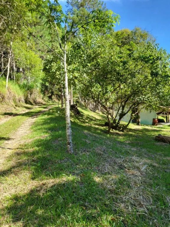 Sítio à venda de 2 ha em Natividade da Serra, SP, Brasil