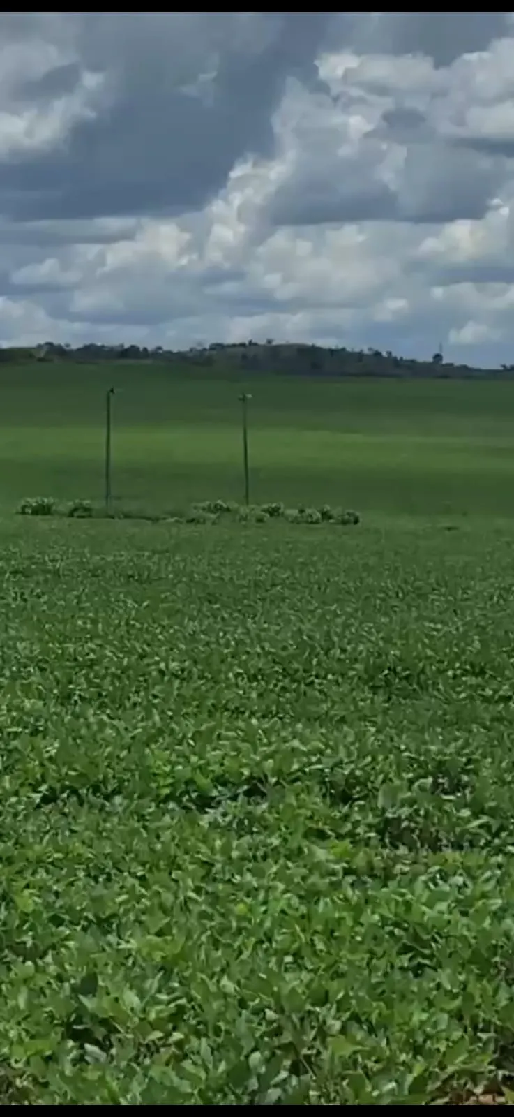 Fazenda à venda de 278 ha em Luziânia, GO, Brasil