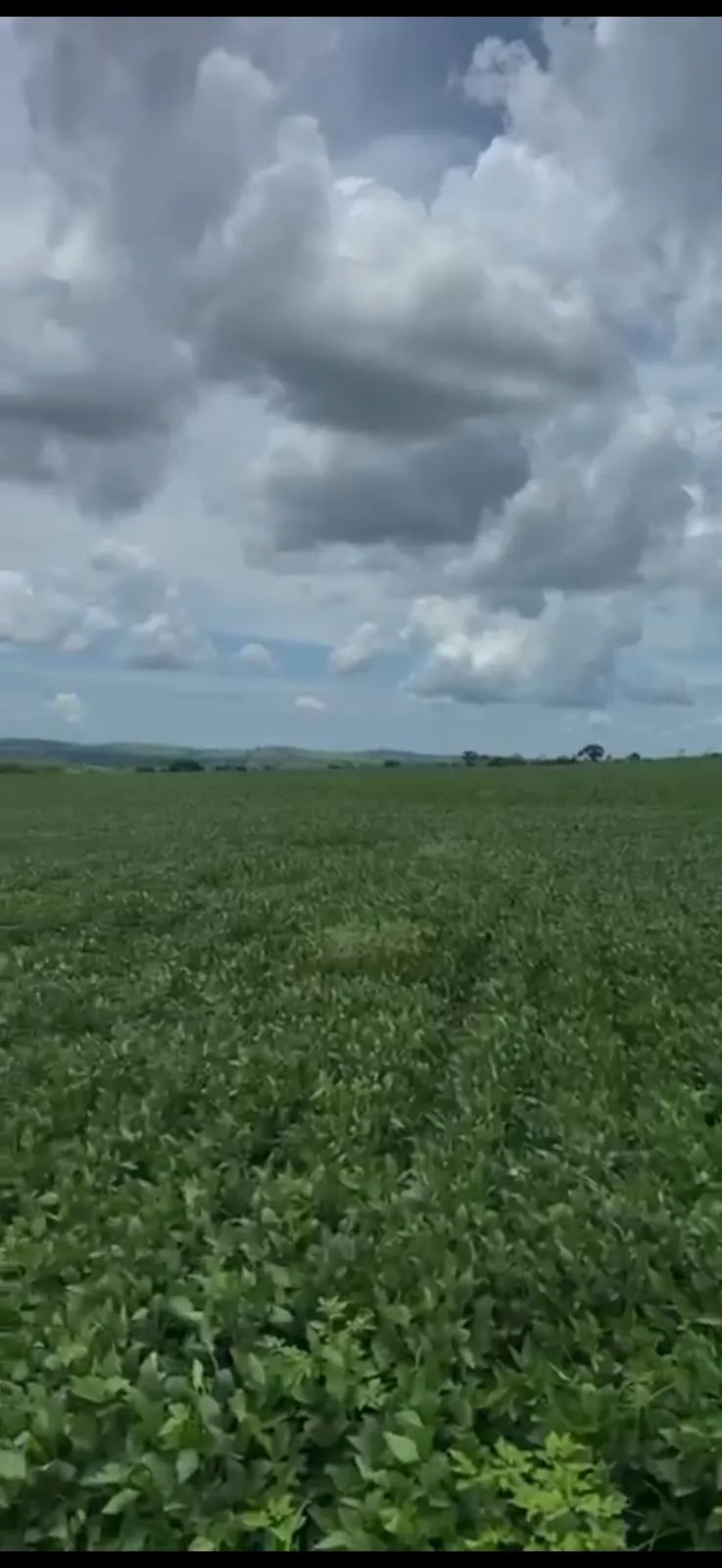 Fazenda à venda de 278 ha em Luziânia, GO, Brasil
