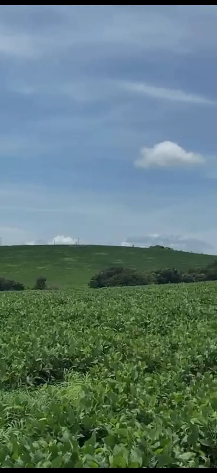 Fazenda à venda de 278 ha em Luziânia, GO, Brasil