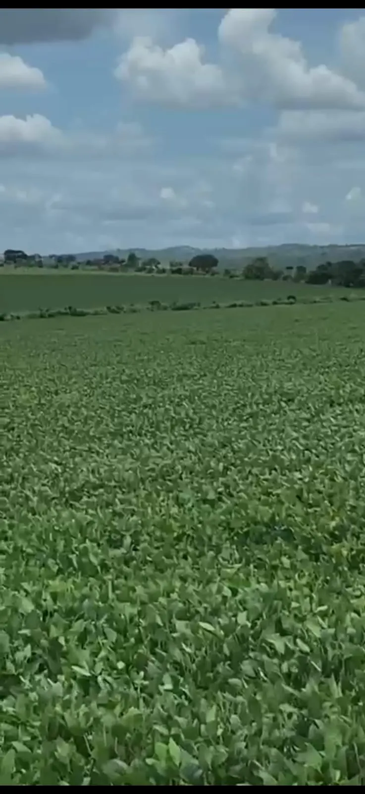Fazenda à venda de 278 ha em Luziânia, GO, Brasil