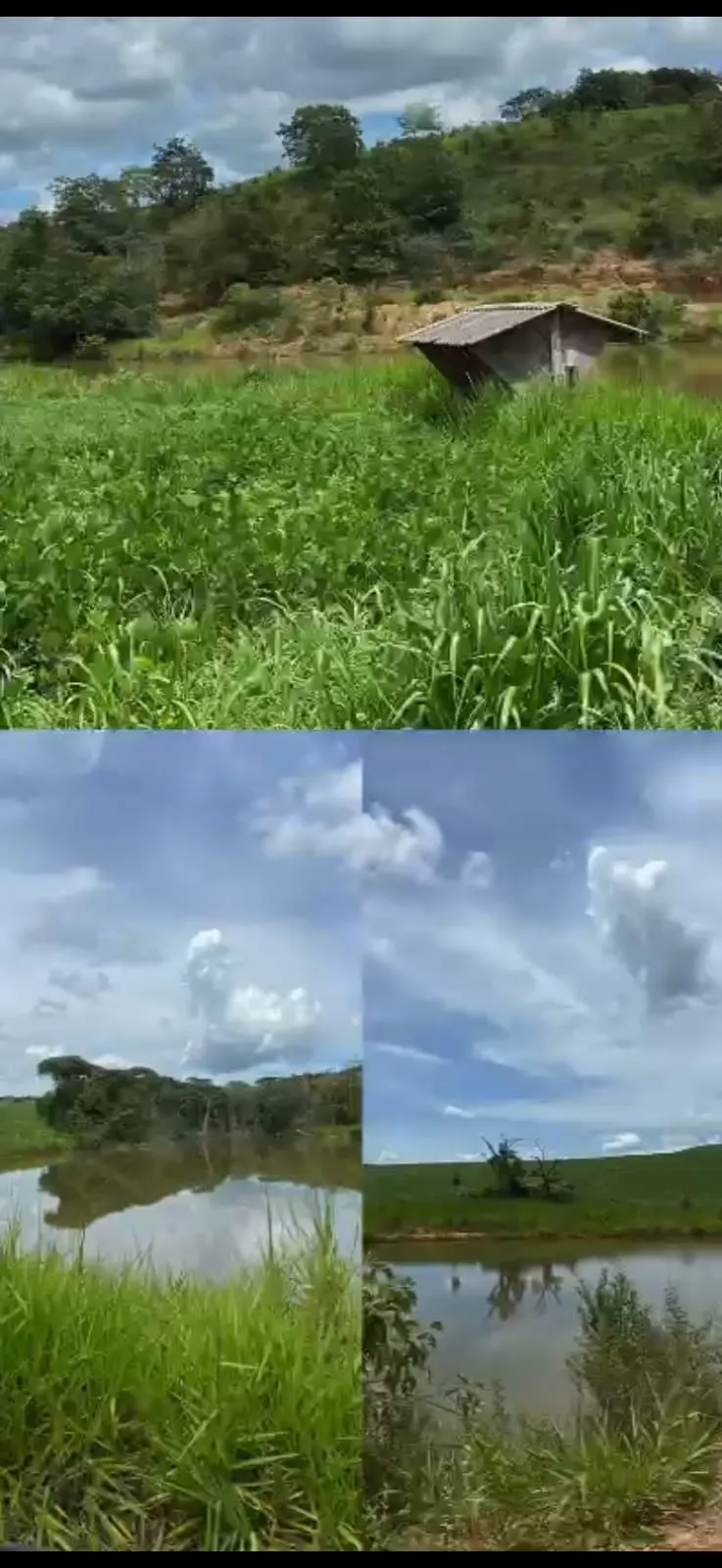 Fazenda à venda de 278 ha em Luziânia, GO, Brasil